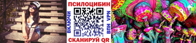 Псилоцибиновые грибы Cubensis  Певек 